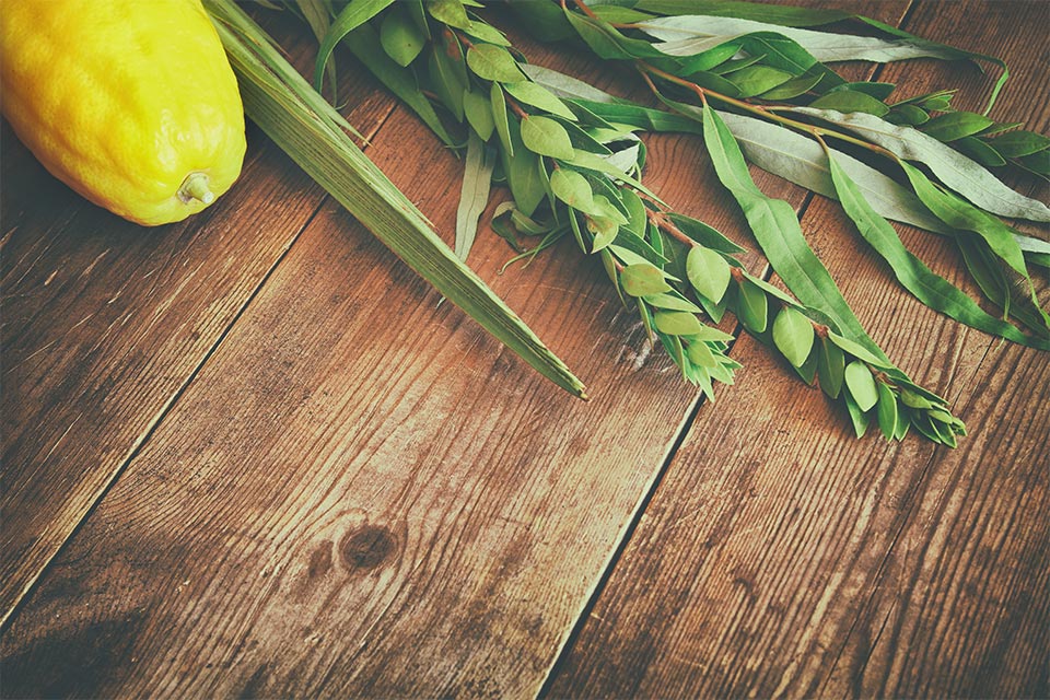 Sukkot - Baruch HaShem Messianic Synagogue